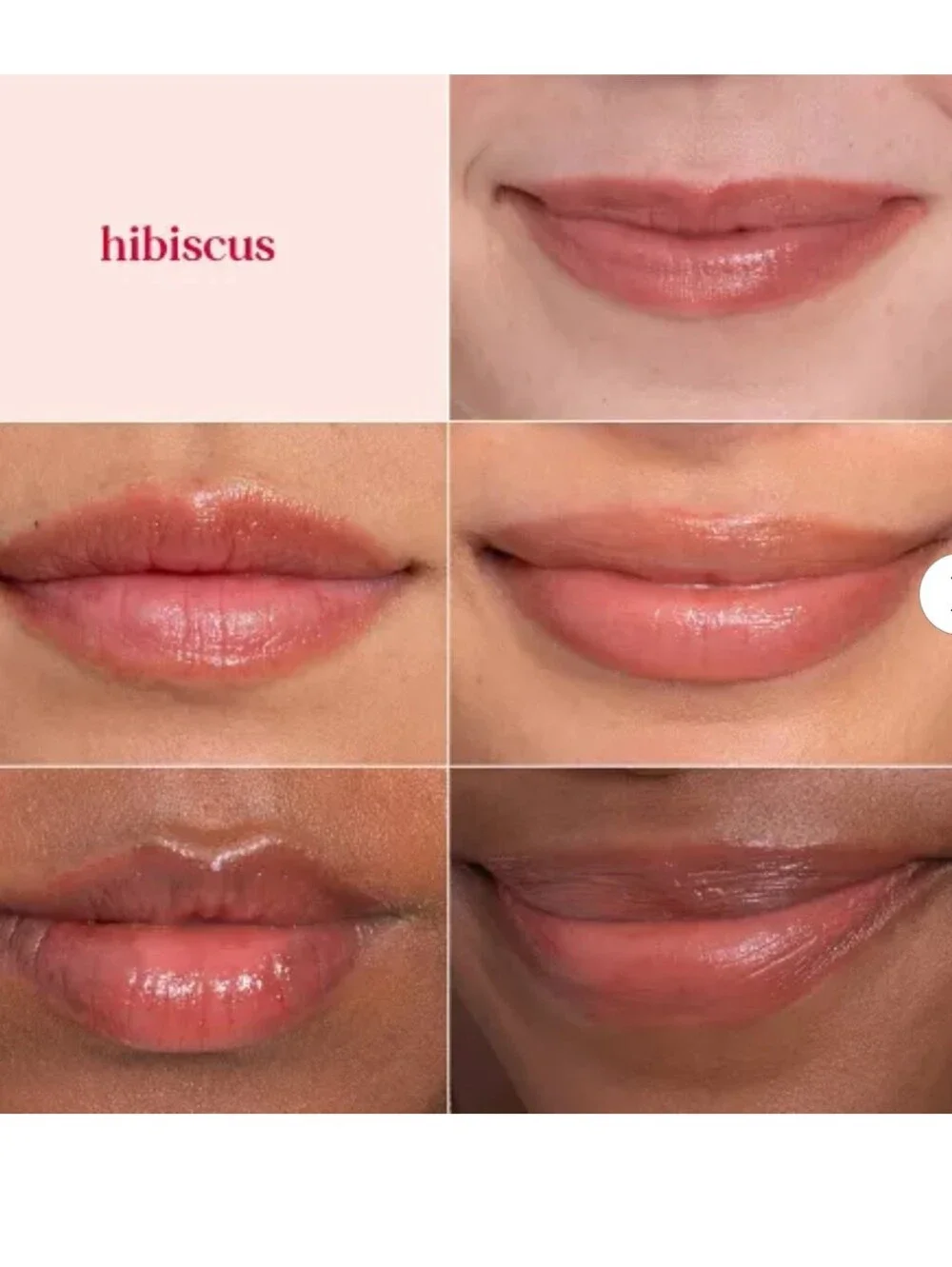 Burt's Bees Tinted Lip Balm Duo - Pink Rose (Mini) & Peach Hibiscus (Full Size)